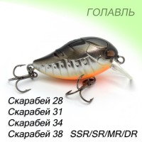 Скарабей (крэнк)