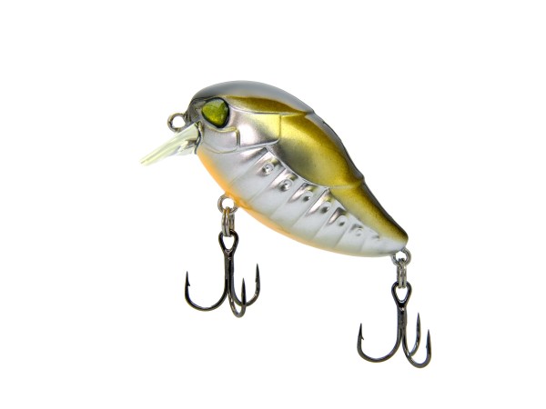 Скарабей 35f SSR 4 г, цвет М141 "тёртый монах", горизонт 0,0-0,2 м.